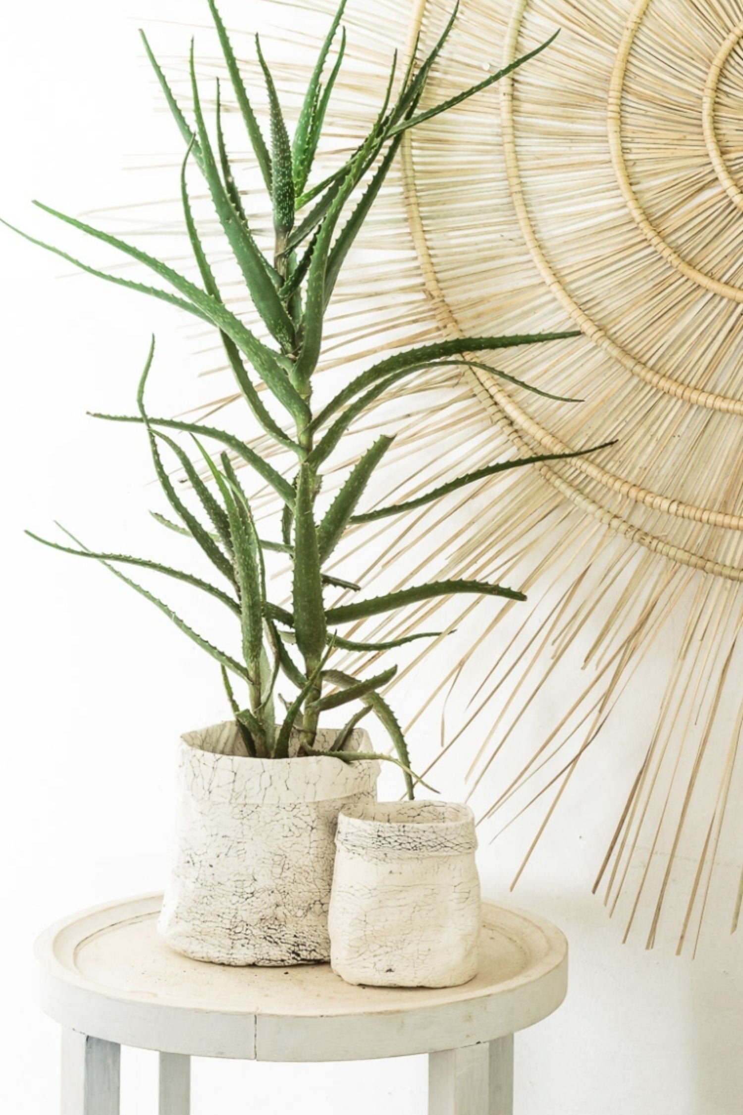 Storage Pots - Grey Crackles