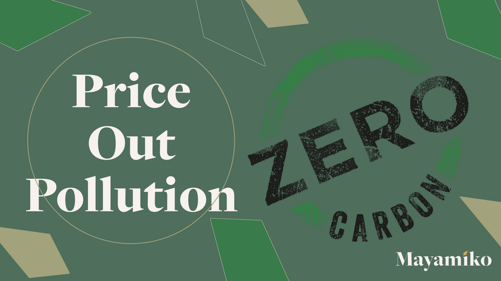 Price out Pollution | Zero Carbon Campaign